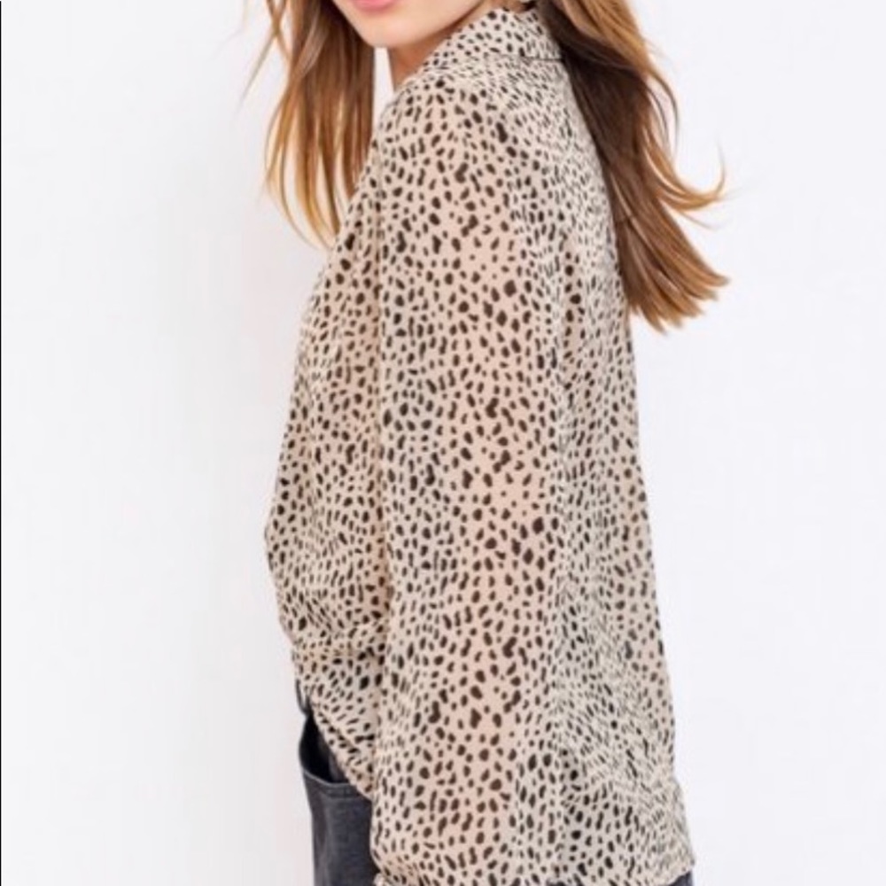 LEOPARD - Picture 3 of 6